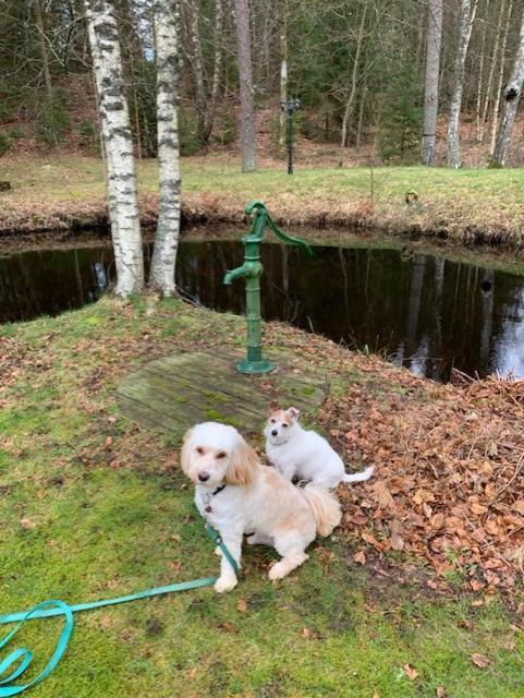 Sigridstorp Asljunga Villa Orkelljunga Bagian luar foto